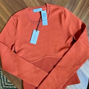 Aritzia Babaton Sculpt Knit Empire Longsleeve XS